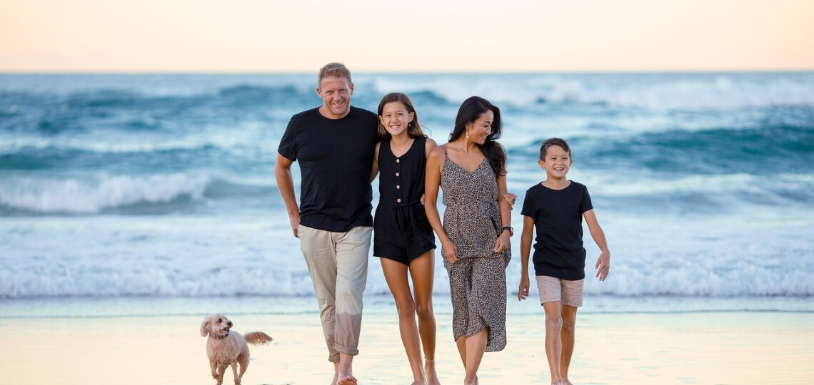 rueda de las emociones como usarla